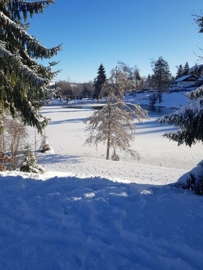 Herrischried Jules Traum Im Schwarzwald 아파트 외부 사진