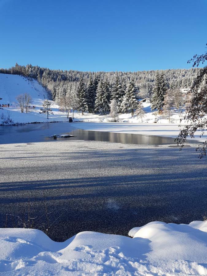 Herrischried Jules Traum Im Schwarzwald 아파트 외부 사진