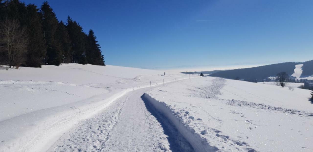 Herrischried Jules Traum Im Schwarzwald 아파트 외부 사진