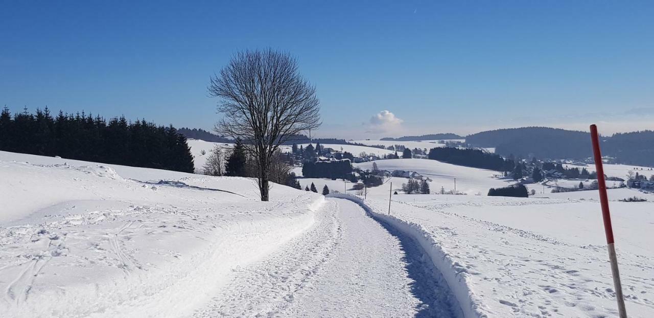 Herrischried Jules Traum Im Schwarzwald 아파트 외부 사진
